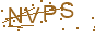 驗證碼 NVPS